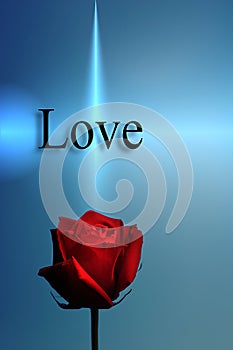 Red Rose and The Word Love