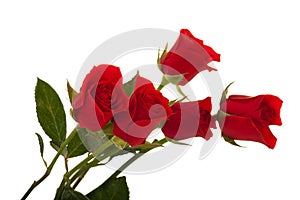 Red Roses img