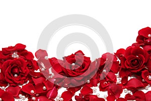 Red roses img