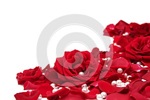 Red roses img