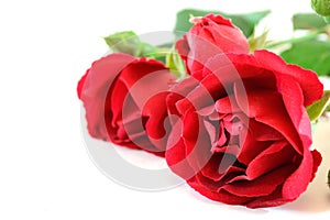 Red roses img