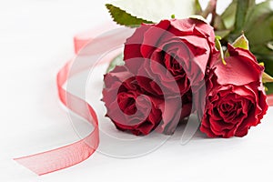 Red roses photo