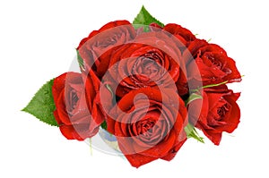 Red Roses