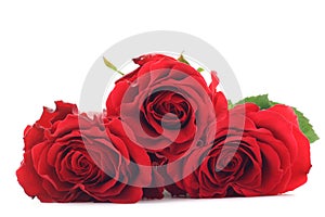 Red roses img