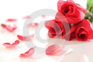 Rosas 