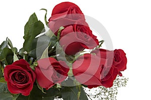 Red Roses