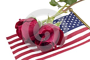 Red Roses on American Flag