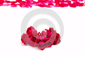 Red roses backgroud with petals