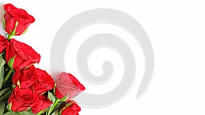 Red Roses Background for Anniversary, Wedding, Birthday or other Celebrations cards