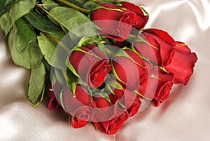 Red Roses on Beige Satin