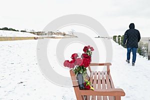 Red roses in a bench in memory of a loved one. The bench is on a snow covered promenade as a man walks by