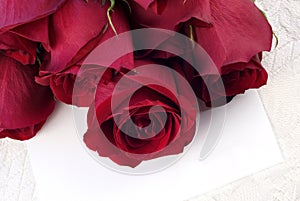 Red Roses with Blank Card