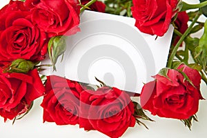 Red roses and blank invitation card