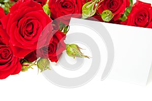 Red roses and blank invitation card