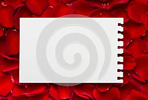 Red roses with a blank note