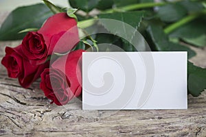 Red roses with blank space for lovely message for Valentine