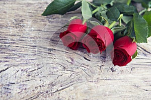 Red roses with blank space for lovely message for Valentine