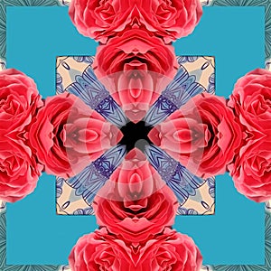 Red roses on a blue background