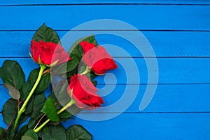 Red roses on blue wooden table. Valentines day background