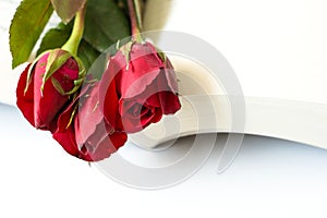 Red roses book