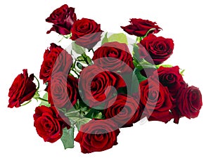 Red Roses Bouquet