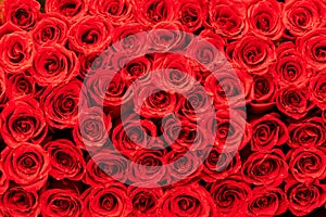 Red roses bouquet blooming pattern decoration background - Romance love