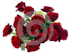 Red Roses Bouquet photo