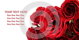 Red roses bouquet on white background, greeting card