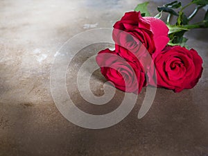 Red roses on a brown rustic wooden background