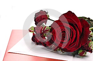 Red Roses and Card