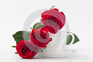 Red roses with coffee cup of white color on a white background.