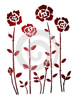 Red roses