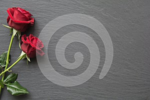 Red roses on empty slate background