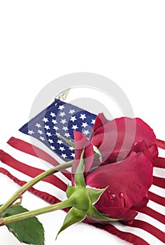 Red Roses On A Flag