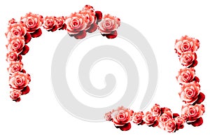 Red roses floral border frame background with wet red pink white roses flowers closeup pattern border design corners.