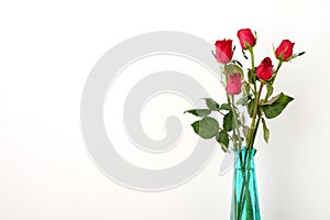 Red roses flower bouquet in green vase on white background