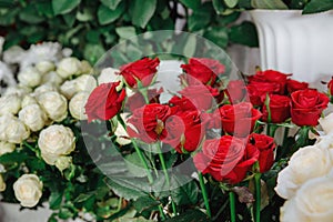 Red roses in a flower shop. Flower market. Roses of other colors on foreground and background. No people.