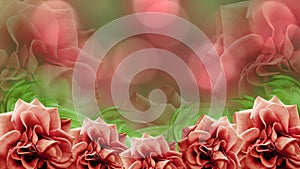 Red roses flowers on blurred red-green bokeh background. floral background. colored wallpaper for design.