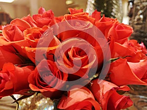 Red roses flowers in a bunch