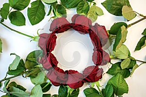 Red roses form a circle with a copy space for writing on a white background