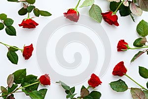 Red roses frame on a white background, copy space