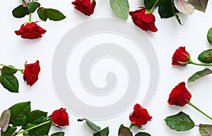 Red roses frame on a white background, copyspace