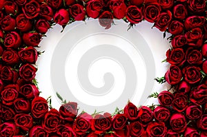 Red roses frame with white blank space for text