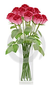 Red roses in glass vase isolated on white