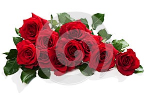 Red roses with green leaves