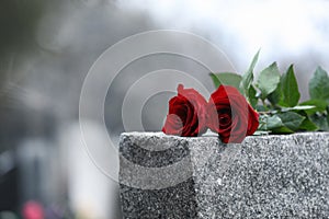 Red roses on grey granite tombstone. Funeral ceremony