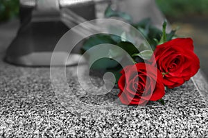 Red roses on grey granite tombstone outdoors, space for text