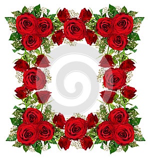 Red roses and gypsophila flowers frame
