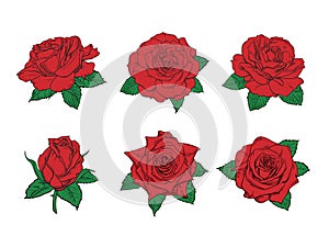 Red roses hand drawn color set. Red rose buds and green leaves collection. Vector illustration