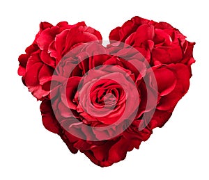 Red roses in heart shape isolated on white